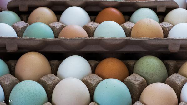 .شركة أنتجت بيضا يتمتع برائحة ومذاق الفاكهة عبر إطعام الدجاج قشر فاكهو اليوزو إلى جانب الكرنب وبذور السمسم والذرة