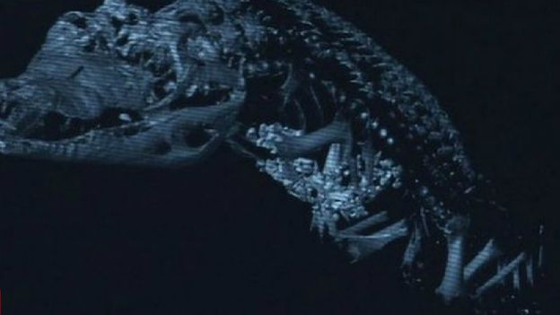 فريق الخبراء فحص هذه المومياء لتمساح من بين مئات المومياوات التي خضعت للدراسة 