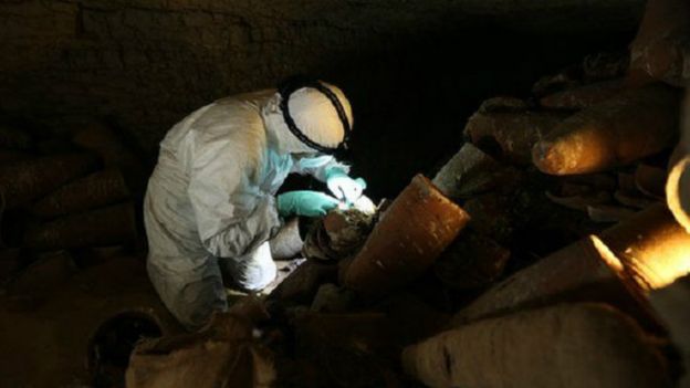 سرداب الموتى هذا يحتوي على حوالي مليوني من أفراد طائر أبو منجل محنطة 