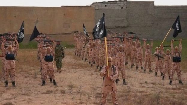 الجهود التي يقودها الغرب احتوت حتى الآن تنظيم الدولة دون أن تهزمه 