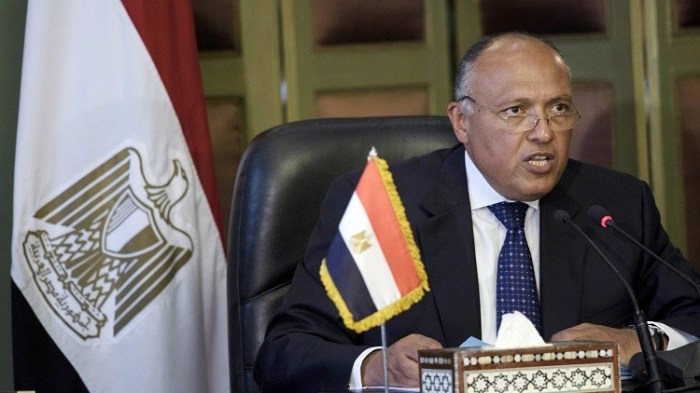 وزير الخارجية المصري سامح شكري