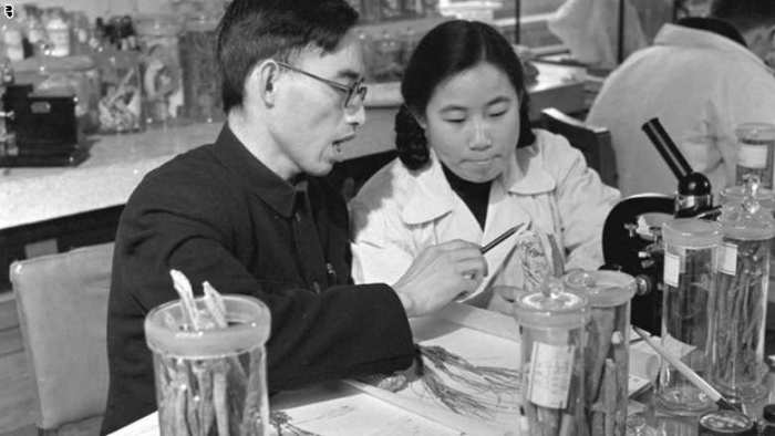 صورة تعود إلى خمسينيات القرن الماضي تظهر تو يويو في أكاديمية الصين للعلوم الطبية الصينية في بكين