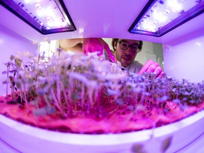 أحد مراكز الأبحاث الزراعية في ميونخ والتي تعني بإنتاج صحي قريب من كل مواطن