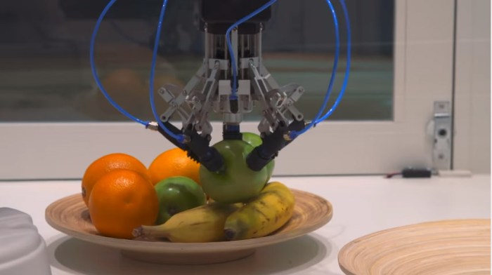 الروبوت يقوم بإلتقاط الثمار دون أن يؤثر عليها