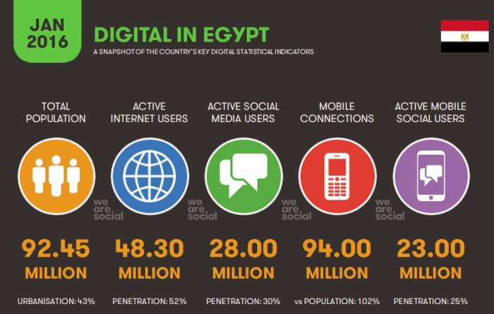 وضع الإنترنت في مصر عام 2016