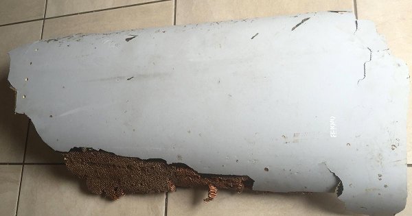 جزء من جناح الذيل للطائرة الماليزية والتي عثر عليها بسواحل موزامبيق