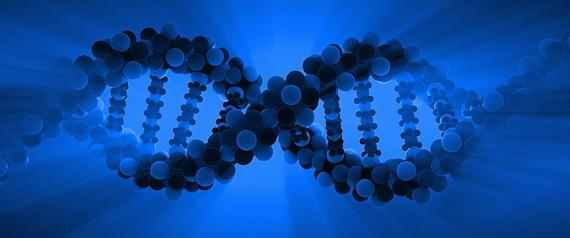 كل يوم تظهر استخدامات جديدة للحمض النووي 