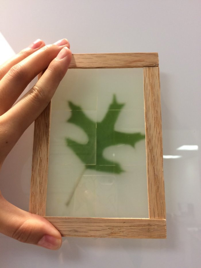 نوافذ شفافة من الخشب المصدر: مركز الأبحاث والطاقة في جامعة ميريلاند 