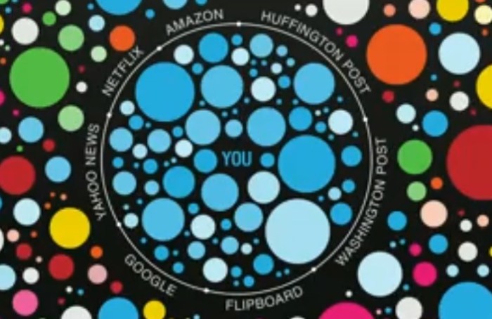 فقاعات المرشح: تخيل أنك علي الإنترنت علي شكل فقاعة يتم تحديد المعلومات التي تنفذ داخلها وفقا للمكان الذي توجد به والمواقع التي تتصفحها وما يعرضه أصدقائك علي الفيسبوك وليس المعلومات التي تحتاج الي الوصول إليها - فأنت ليس لك اختيار في المعلومات التي تنفذ داخل فقاعتك