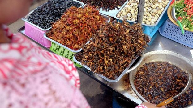 ربما يبدأ التحرر من أسر الأفكار المألوفة بخطوة بسيطة مثل تذوق طعامًا جديدًا 