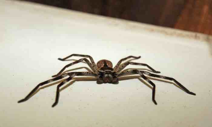 c23d7d37-5a56-4484-b2fc-1f22ba56de76