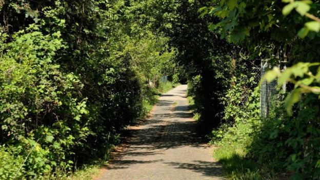 يتتبع "طريق بيرتا بنز التذكاري" المسار الذي اتخذته بيرتا بنز عام 1888 عندما أجرت وابناها تجربة للقيام بأول رحلة في العالم على متن سيارة تعمل بالوقود لمسافات طويلة