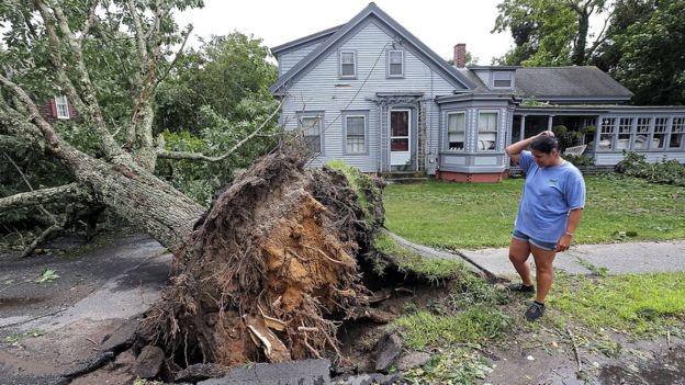 أراضي الولايات المتحدة تتعرض لعدد من الأعاصير سنويا