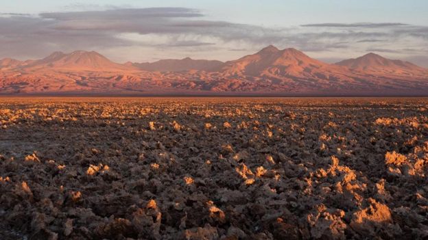 تشهد صحراء أتاكاما كشف النقاب عن أنواع جديدة من البكتيريا التي يمكن أن تساعدنا على مقاومة انتشار الأمراض والالتهابات المضادة للعقاقير الدوائية