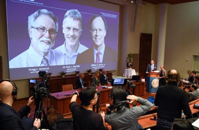 شاشة تعرض صور العلماء الثلاثة الفائزين بجائزة نوبل للطب عام 2019 في ستوكهولم يوم الاثنين 7 أكتوبر 2019