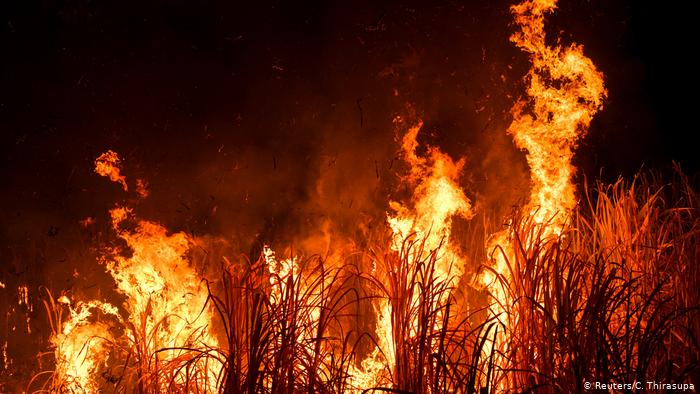 تلوث الهواء بسبب الحرائق يسبب الكثير من الأمراض المتلعقة بعمل الجهاز التنفسي