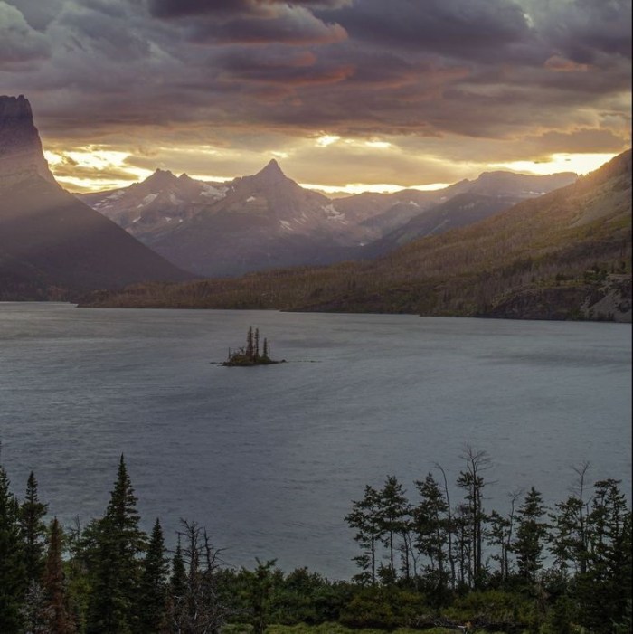 كانت هذه الصورة سببا في تعطيل عدد كبير من الموبيلات الذكية بعد استخدامها كخلفية نظرا للصيغة الإلكترونية المنشورة بها