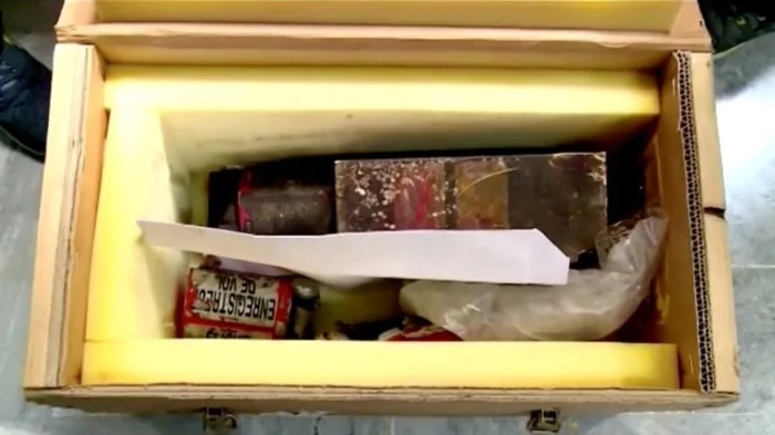 صندوق يحتوي على الصندوقين الأسودين، والذي تم استردادهما من الطائرة الأوكرانية المحطمة