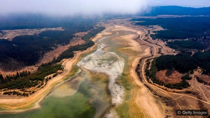 من دون الفيروسات لن يكون لكوكب الأرض كما نعرفه وجود