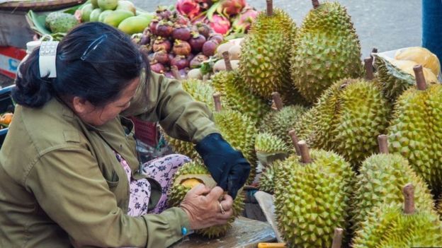 فاكهة دوريان التي اشتهرت برائحتها الكريهة، قد تستخدم في تصنيع جيل جديد من المكثفات الفائقة