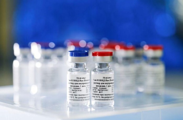 عينات من لقاح روسي جديد ضد مرض كوفيد-19 الذي يسببه فيروس كورونا المستجد طوره معهد جماليا في موسكو في صورة حصلت عليها رويترز من صندوق الاستثمار المباشر الروسي والتُقطت يوم 6 أغسطس 2020