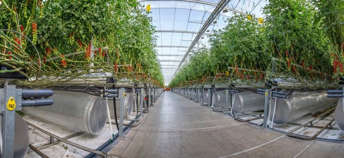 هل تصبح المزارع التكنولوجية التي تعتمد علي الذكاء الإصطناعي طوق النجاة للأمن الغذائي الخليجي