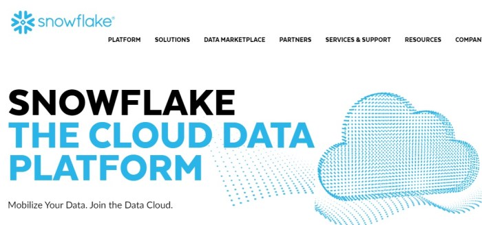 موقع شركة سنوفليك علي شبكة الإنترنت