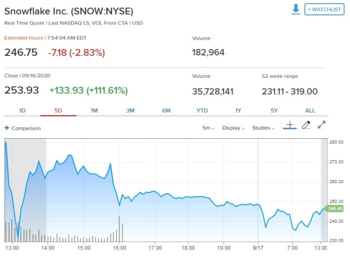 حركة سهم سنوفليك خلال يوم الأربعاء 16 سبتمبر 2020