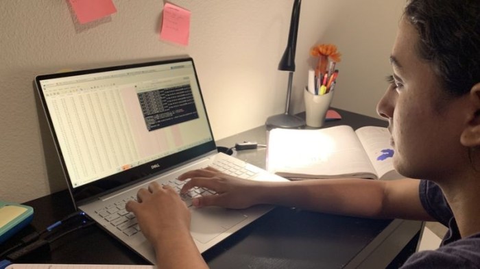 استخدمت أنيكا شيبرولو في بحثها المحاكاة علي الكمبيوتر