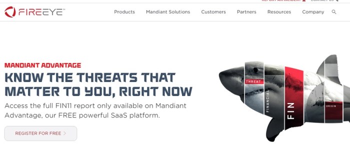 الموقع الإلكتروني لشركة فاير آي للأمن الإلكتروني