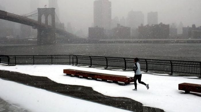 يتمتع الرياضيون المتميزون فقط بتركيزات عالية من ألياف العضلات سريعة أو بطيئة التوتر، تبعا لنوع الرياضة التي تخصصوا بها