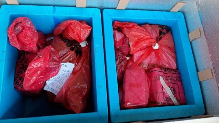 كانت قوارير اللقاح تحمل تاريخ انتهاء الصلاحية في إبريل الماضي