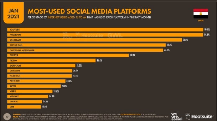 يوتيوب وفيسبوك هما الشبكتين الأكثر استخداما بين مواقع التواصل الإجتماعي في مصر حيث يستخدم كل منهم حوالي 80% من مستخدمي الإنترنت في مصر في يناير 2021