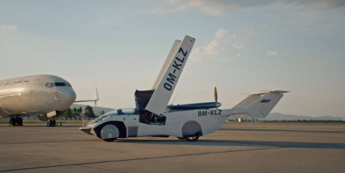 السارة الطائرة وهي تقوم بفرد جناحيها