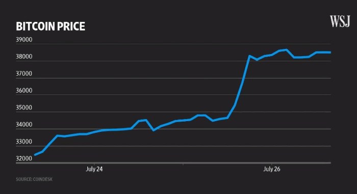 تطور سعر الهملة الرقمية بيتكوين خلال شهر يوليو 2021
