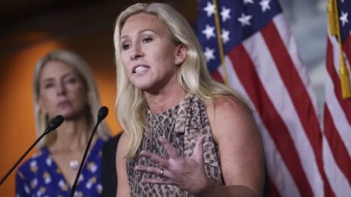 جرين قالت إن الحظر أثبت أن الشركة "عدو لأمريكا"