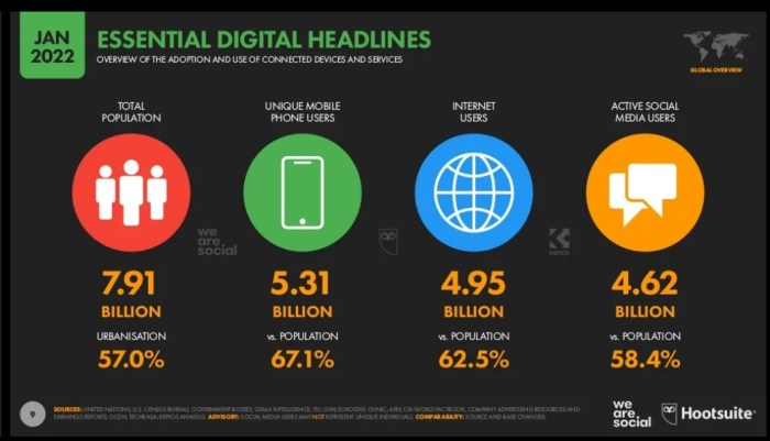 أرقام مذهلة عن الإنترنت في شهر يناير 2022