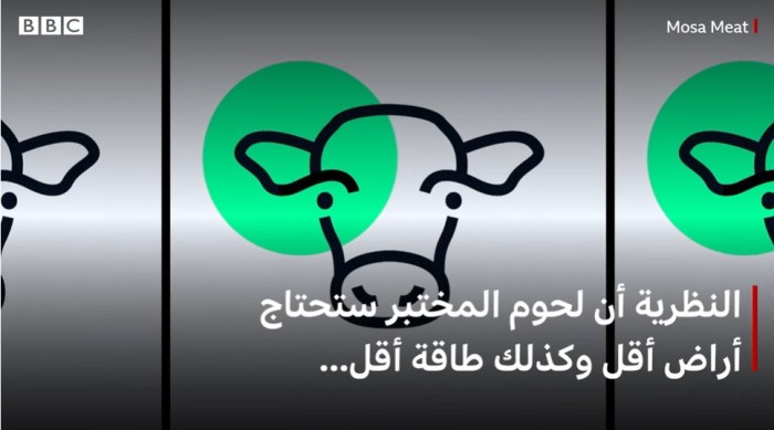 هل يمكن أن تصبح اللحوم المصنعة من نباتات في المختبر هى مستقبل الغذاء؟