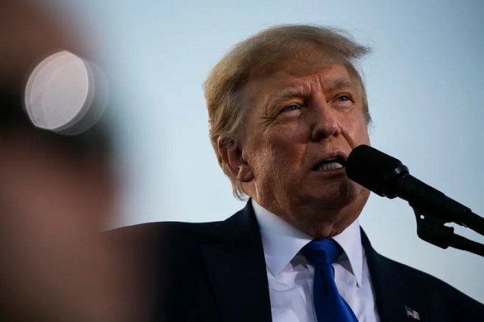 شبكة تويتر إلى جانب منصات أخرى بما في ذلك فيسبوك، منعت الرئيس السابق دونالد ترامب من التغريد في أعقاب هجوم 6 يناير على مبنى الكابيتول الأمريكي