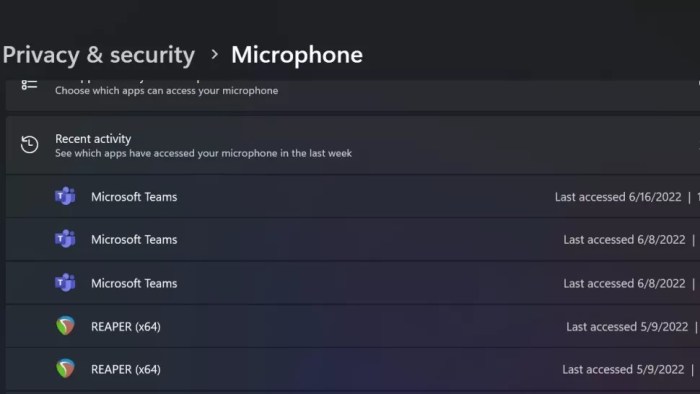 قائمة بالتطبيقات التي تستخدم الميكروفون عبر تطبيق إعدادات ويندوز 11