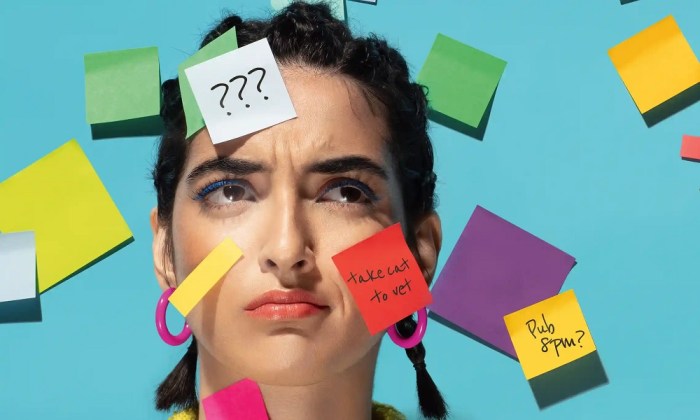  لقد أصبح عقلي فارغًا، ماذا يحدث عندما نجعل جهاز خارجي يقوم بعمل جزء من ذاكرتنا؟