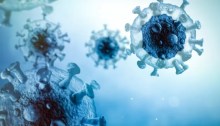 فيروس كورونا التاجي تسبب في وباء عالمي راح ضحيته أكثر من 6 مليون شخص