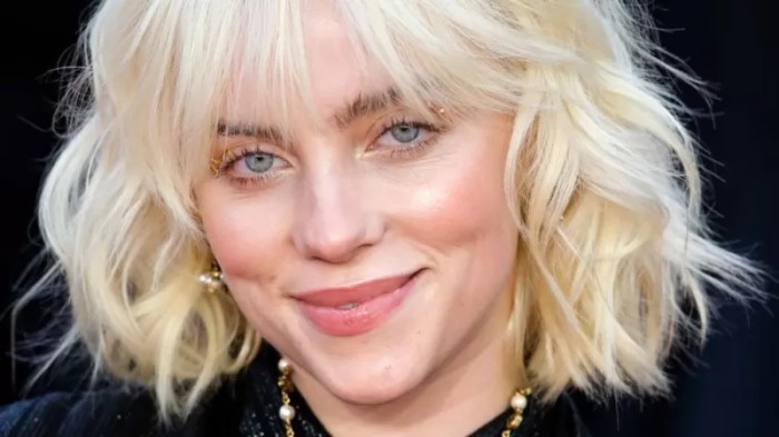 بيلي أيليش كانت مصدر الإلهام للقانون الجديد