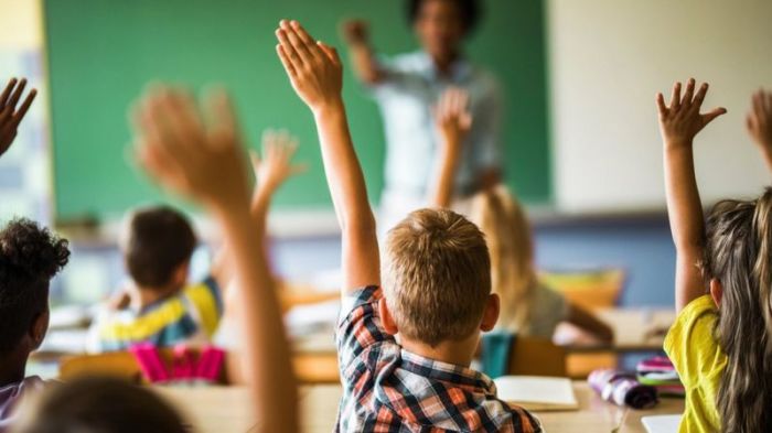 هناك تصاعد في أعداد تلاميذ المدارس المعجبين بتيت