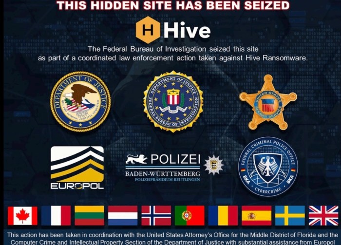 مكتب التحقيقات الفيدرالي اخترق بعمق عصابة "هايف" لبرامج الفدية وأوقفت موقعها علي الإنترنت كما يظهر في الصورة أعلام الدول التي شاركت في العملية الأمنية، 26 يناير 2023