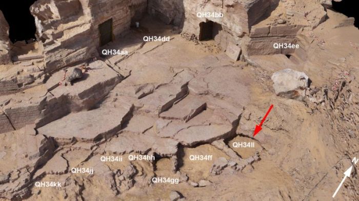 عثرت بعثة أثرية إسبانية على عشرة تماسيح محنطة في منطقة قبة الهوا في أسوان