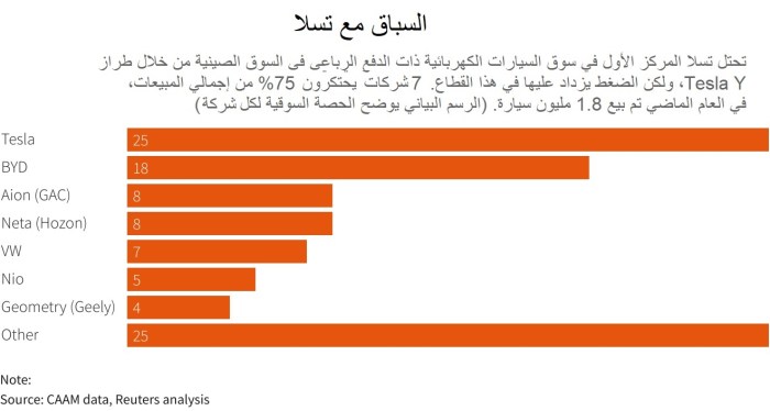 الحصة السوقية لكل طراز من سيارات الدفع الرباعي الكهربائية في السوق الصينية عام 2022