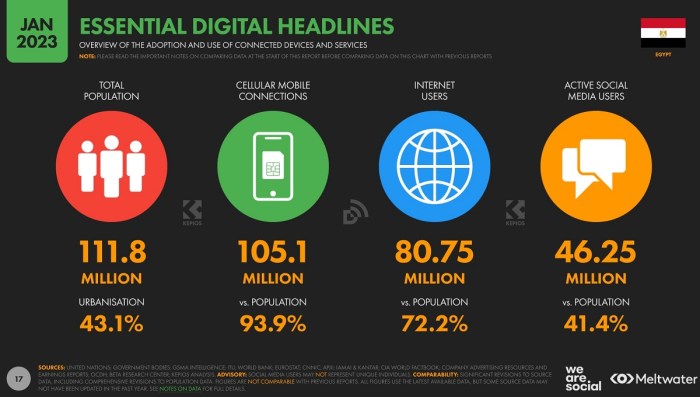 يبلغ عدد سكان مصر في يناير 2023 أكثر من 111 مليون نسمة منهم حوالي 81 مليون مستخدم إنترنت و 46 مليون مستخدم للشبكات الاجتماعية
