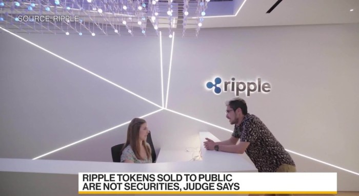 يقول الرئيس التنفيذي لشركة ريبل لابس إن الدعوي القضائية كانت تنمرًا على العملات الرقمية