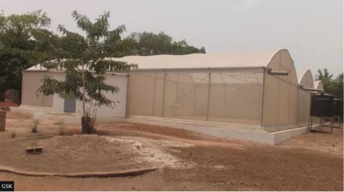 التجارب على السلامة يتم إجراؤها في بوركينا فاسو